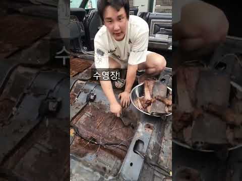 외국처럼 자동차를 수영장으로 <strong>만들기</strong> <strong>결정</strong>