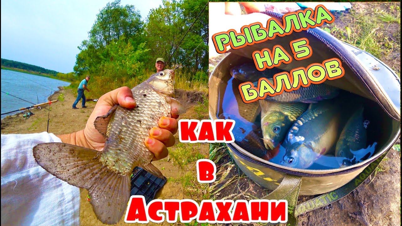Рыбалка с ночевкой в Липецкой области как в Астрахани - YouTube