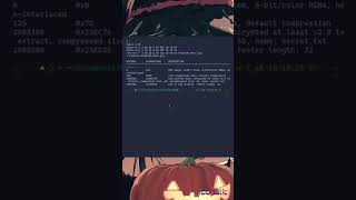 Somary Tsy Mora [Stegano] (BINWALK) | BSides Madagascar CTF 2024 (pre-qualification)