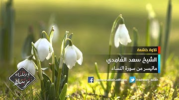قراءة مؤثرة للشيخ سعد الغامدي - ماتيسر من سورة النساء