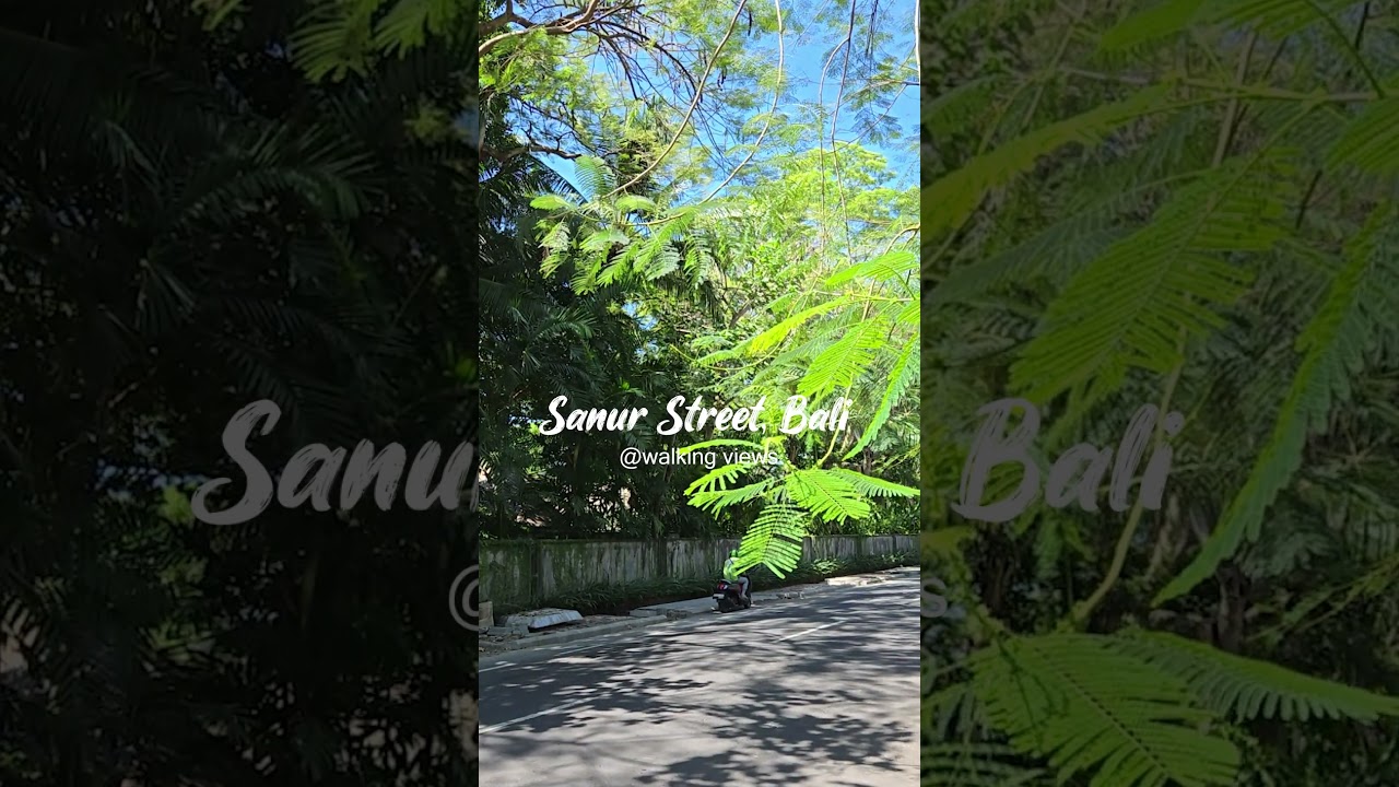 🌞 Good Morning Sanur, Bali 사누르발리스트리트