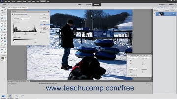 Photoshop Elements 2020 Tutorial Using Levels Adobe Training