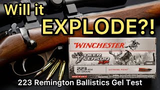 PERFECT .223 FOR DEER? 223 Remington Winchester Deer Season XP 64gr Ammo Test