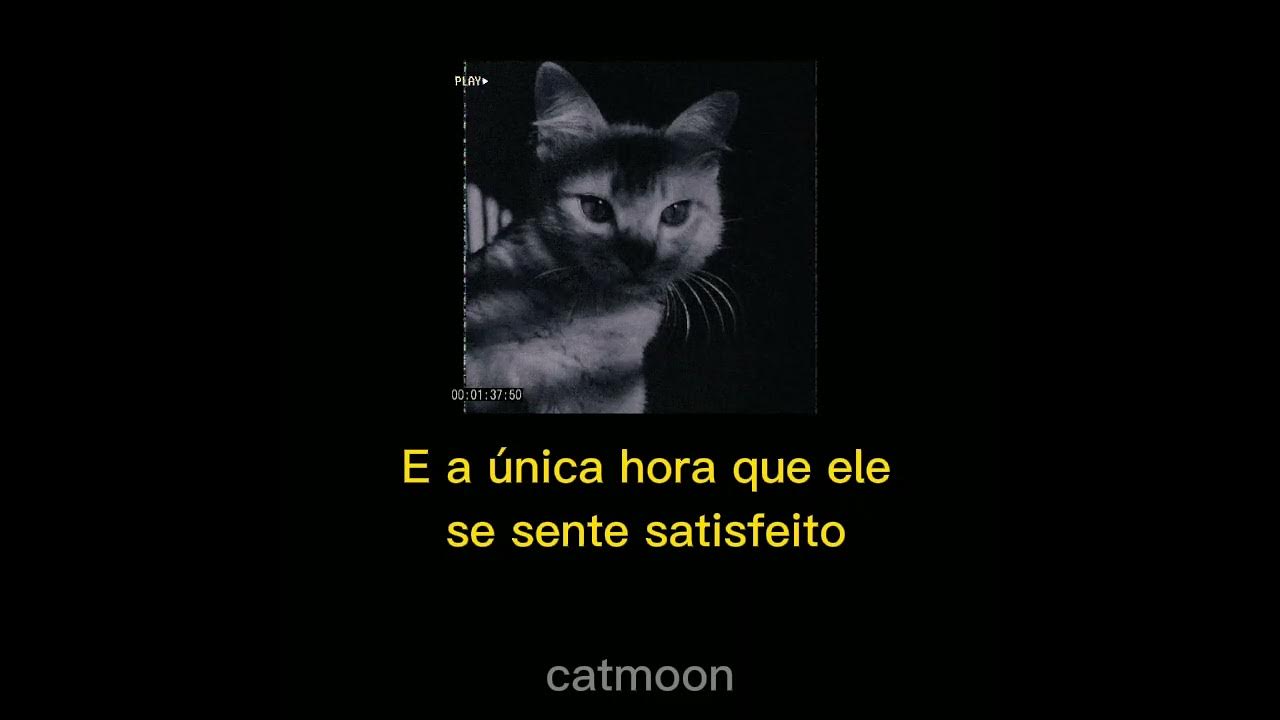 The Animals The house of the