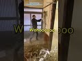 (tiktok) 古民家のDIYでこれ‼️が1番汚い #japan #リフォーム #土壁