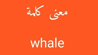 معنى كلمة whale