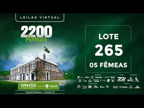 LOTE 265
