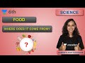 Food: Where Does It Come From? | Science | Unacademy Class 6 | Nabamita Bhattacharjee