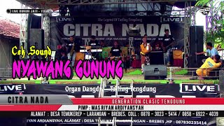 NYAWANG GUNUNG ~ CEK SOUND || CITRA NADA LIVE DESA DUKUH JATI KIDUL ||  KEC.PANGKAH - TEGAL