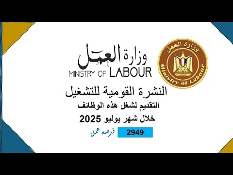 بشرى ساره لذوي الاحتياجات الخاصه وظائف الخمسه في المئه 40 الف وظيفه على مستوى 10 محافظات