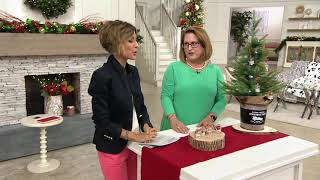 Plow & Hearth Set of 4 Snow Globe Ornaments in Gift Boxes on QVC