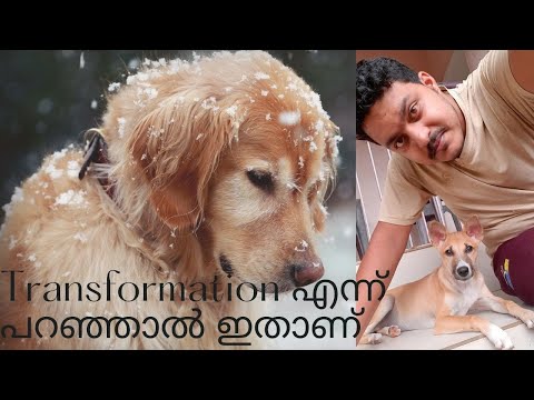 Transformation എന്ന് പറഞ്ഞാൽ ഇതാണ് | Manu John Mannakunnil |