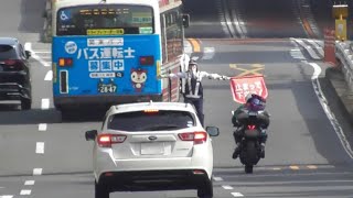 【スピード違反5連発】女性警察官がバイクを全力で止めに動くがクイッと動き一瞬焦りテンパって縁石にぶつける寸前やアルファードも捕まる瞬間！