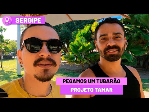PEGAMOS UM TUBARÃO 💥 PASSEIO NO PROJETO TAMAR 💥 TARTARUGAS 💥 AQUÁRIOS PRAIA HOTEL - SERGIPE EP 13
