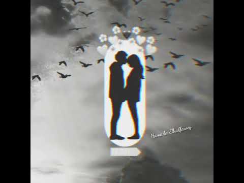 ياريحانه كلها منك غيرانه احمد عبدوا لايك حلوا منك