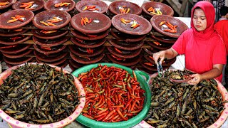 Download Lagu MEMBLUDAK GAK PERNAH SEPI, STOK COBEKNYA SAMPAI RATUSAN?? SAMBEL WADER PALING RAME SE INDONESIA MP3