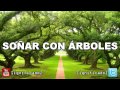 Significado de Soñar con Ãrboles | Ãrbol