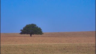 Liminal Spaces 7