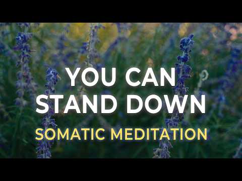 Nervous System Reset | Release Tension & Stand Down