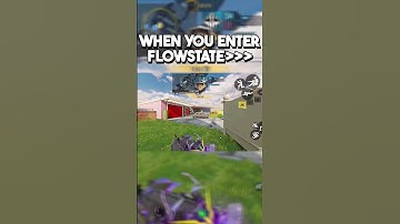 When you enter flow-state in CODM...