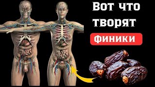 Даже 1 финик вызывает необратимый процесс в организме...ФИНИКИ польза или вред?