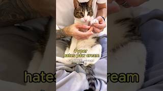 Pyperβs Paw Cream Protest πΎ