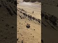 60+ FOOT WHALE DINOSAUR BONE IN A DESERT.
