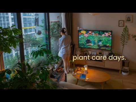 reorganizing my plant corner & balcony 🍃 simple cooking, plant care | slow days at home in Vietnam