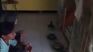 Berkh nyekar k nyai ratu sekarsari selir prabu brawijya 5 di desa pulungan kecmtn sedati ),,ammiin