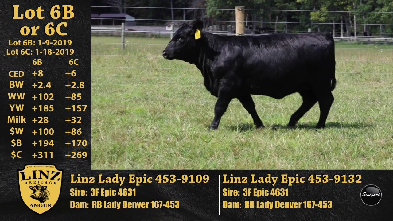 video phone lyrics Linz Lot 6B or 6C - Linz Lady Epic 453-9109 & Linz Lady Epic 453-9132