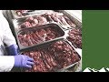 Skinning and butchering a deer, start to finish, with John Griffin