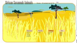 Cool Games For Kids: Learn about African grassland animals screenshot 3