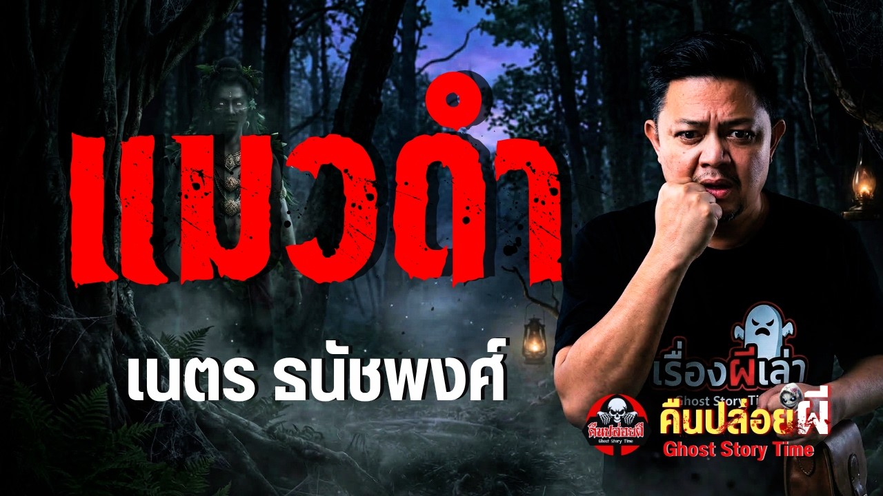 เรื่อง แมวดำ