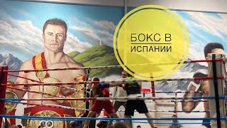 # 453 Бокс В Испании. Электрик Эльдар Против Испанского Чемпиона. Спорт в Испании. Boxing. Астурия