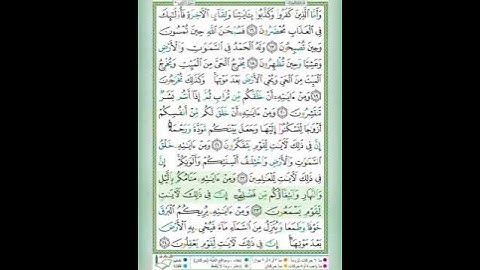#سورة الروم#الآية٢٣#تلاوة الشيخ أيمن سويد #قليل دائم خير
