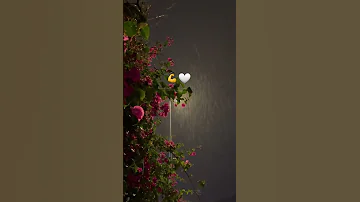 لا معرفتينيش شكون كتبي اسمي في جوجل 