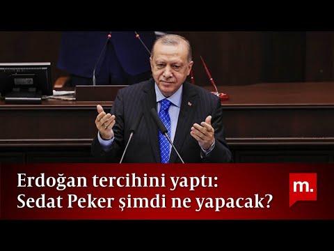 Erdoğan tercihini Soylu'dan yana yaptı: Sedat Peker şimdi ne yapacak?