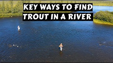 Key Ways to Find Trout in a River
