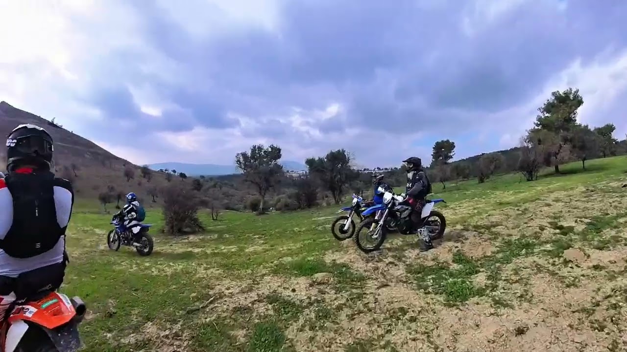 יער ביריה יום שישי 26.12.2025 10