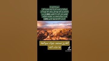 سورة البقرة 80-81: القارئ/محمد جواد سوالمة