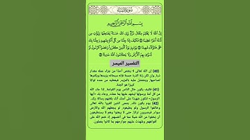 سورة النساء الآية 40 و 41 و 42 #القرآن_الكريم #القران_الكريم #القرآن #القران #سورة_النساء