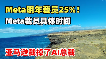 Meta明年裁员25%！裁员具体时间确定。Amazon裁掉了AI总裁