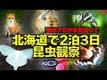 【2泊3日】虫プロが北海道で本気の昆虫観察したら…
