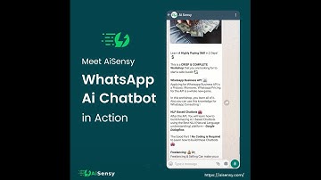 WhatsApp Chatbot - AiSensy, In Action