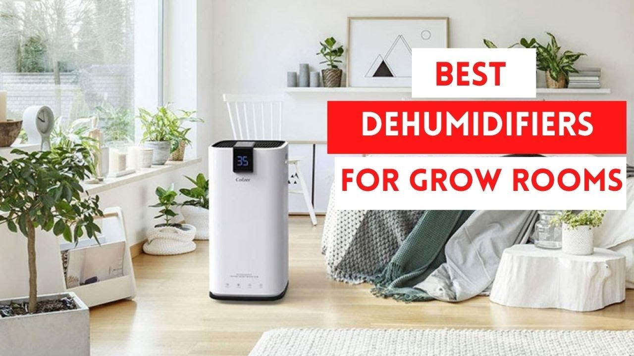 Top 5 dehumidifiers for grow tent in 2023 Cultivate now YouTube