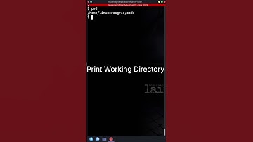 Linux 0 Agrio: Comandos básicos de navegación en la terminal #terminal #linux #comandos #navegacion