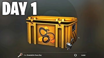 Opening a CS:GO case every day (Day 1)