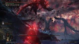 Elden Ring NG+ - Tank Build with Mimic Tear vs Lichdragon Fortissax
