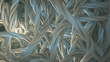 Let’s create abstract looping entanglements with TrapcodeTAO in After Effects