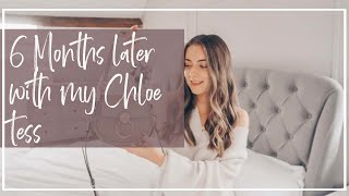 6 MONTH REVIEW OF THE CHLOE TESS MOTTY GREY